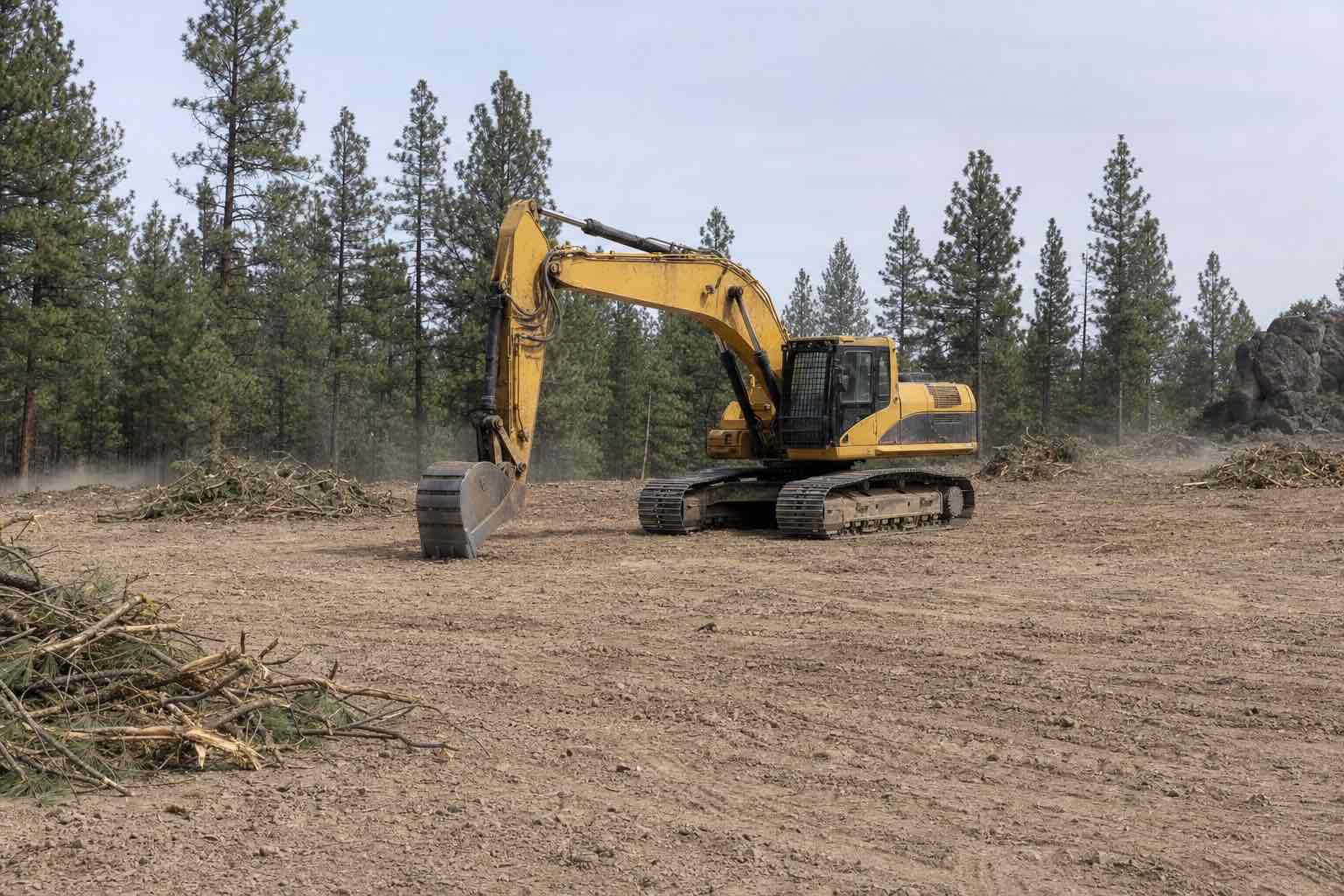 Excavator clearing a forested lot with slash piles staged nearby